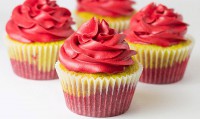 CupCakes ~